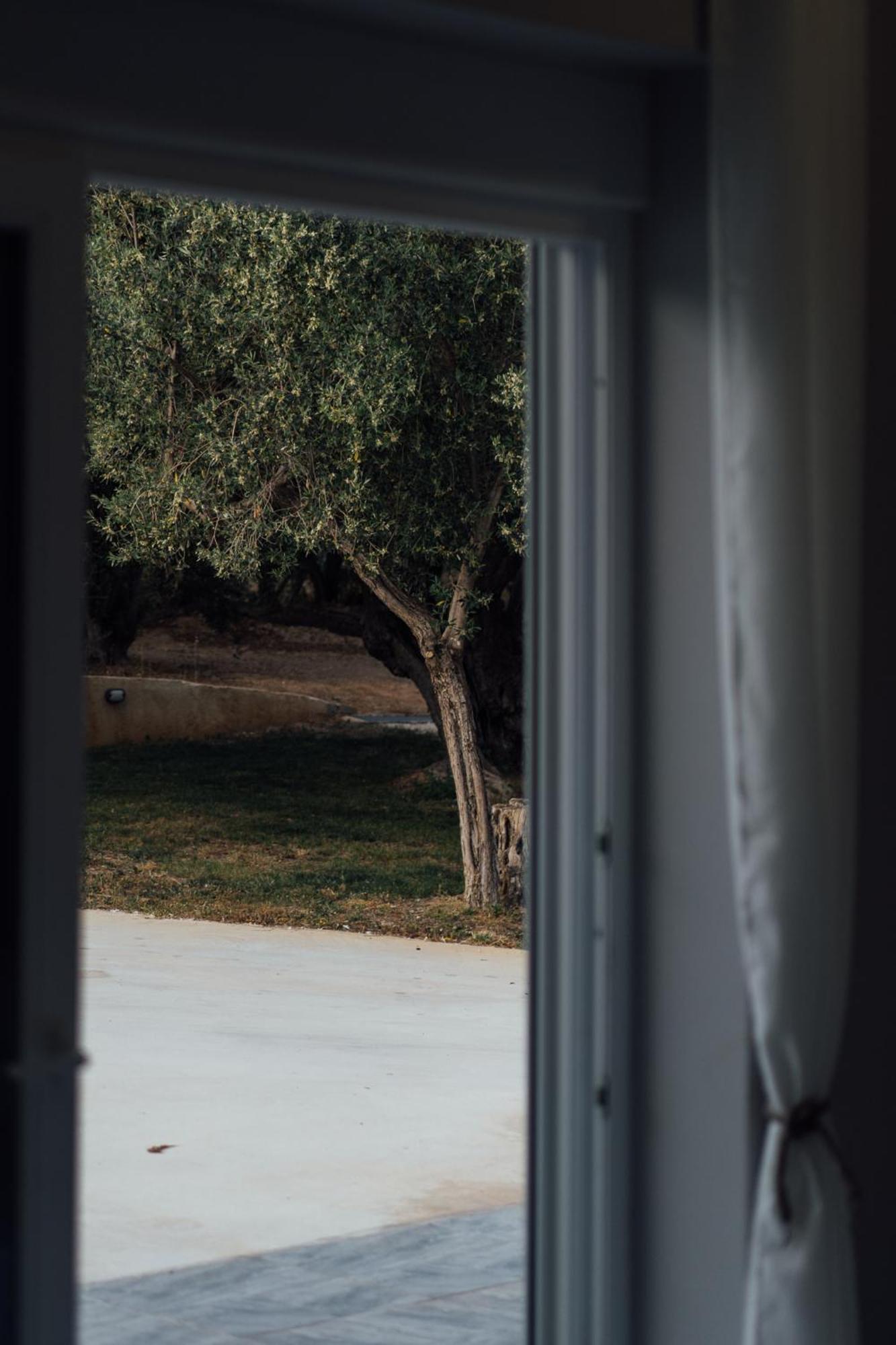 Blue Waves Luxury Suites By The Sea Plomari Luaran gambar