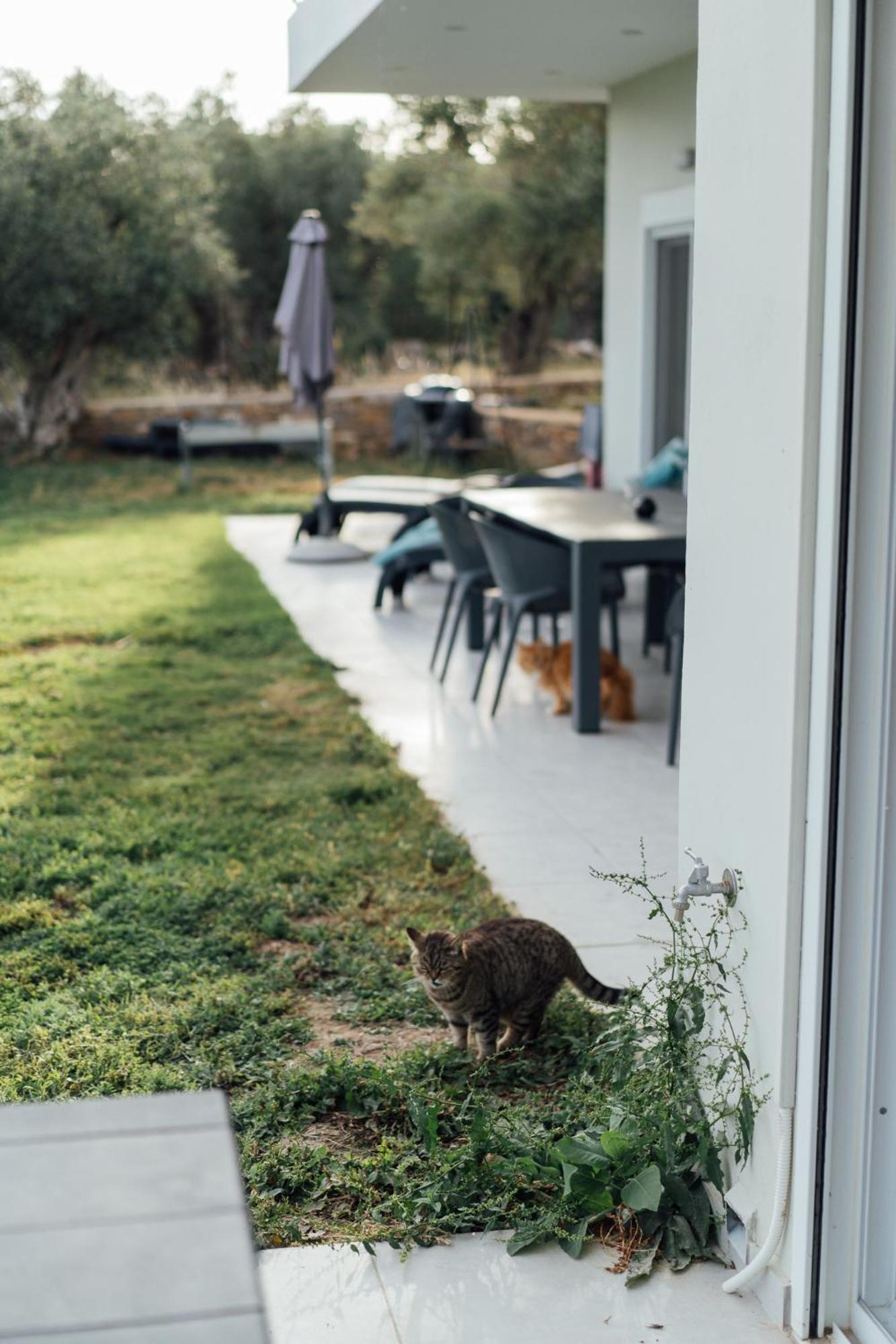 Blue Waves Luxury Suites By The Sea Plomari Luaran gambar